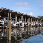 boats in a marina